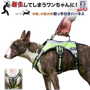 犬 ハーネス 首輪 胴輪 大型犬 中型犬 ハンドル付き 安全帯/取っ手付きハーネス