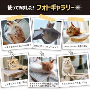 猫 ベッド ハンモック 窓 吸盤 ハンモッく ...の詳細画像5