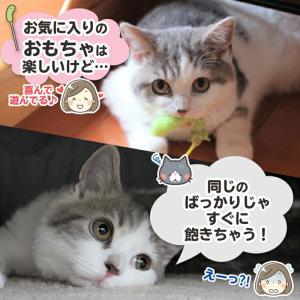 猫 おもちゃ 猫じゃらし (4点セット) 羽お...の詳細画像1