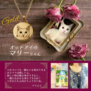 ペット 遺骨 アクセサリー ペンダント メモリ...の詳細画像4