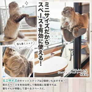 キャットステップ 壁付け 窓 吸盤 壁 木製 ...の詳細画像3