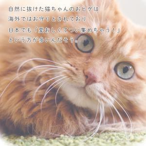 POOKIE ひげ ペット メモリアルグッズ ...の詳細画像2
