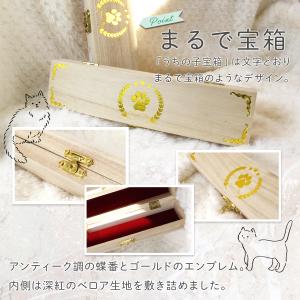 POOKIE ひげ ペット メモリアルグッズ ...の詳細画像4