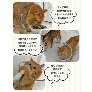 エリザベスカラー 猫 犬 透明 ソフト エリカ...の詳細画像3