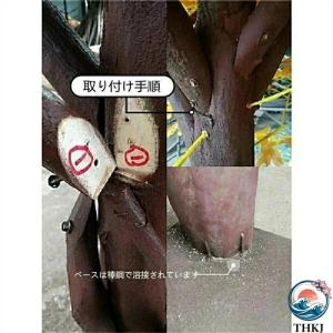 キャットタワー 木製 猫の木 猫登山 猫の活動...の詳細画像5