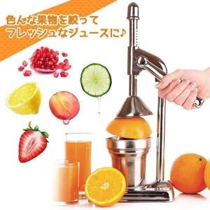 ハンド ジューサー 果汁絞り器 手動式 ジュー...の詳細画像2