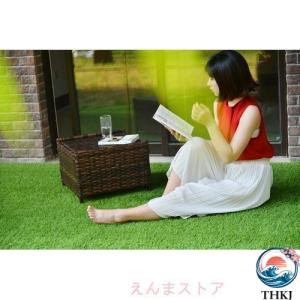 人工芝 ロール 1m 10m 芝丈 30mm ...の詳細画像1