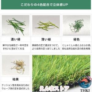 人工芝 ロール 1m 10m 芝丈 30mm ...の詳細画像2