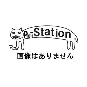 キャビン　ランプ　JCD100V300WL CS-15MT用(ヒューズ付)｜photo-station