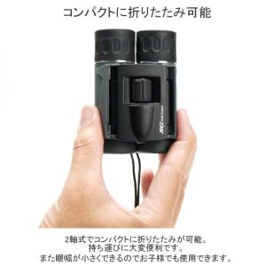 送料無料 Kenko ケンコー SG-H 8×...の詳細画像3