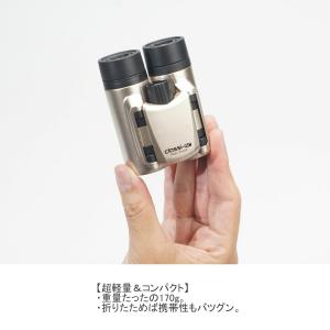 送料無料 Kenko ケンコー Classi-...の詳細画像2