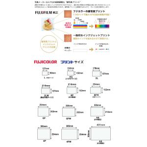 【プロLサイズ きれい仕上げ】フジカラープリン...の詳細画像3