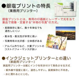 【プロLサイズ】フジカラープリント スマホ デ...の詳細画像3