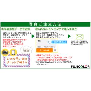 【プロLサイズ きれい仕上げ】フジカラープリン...の詳細画像5