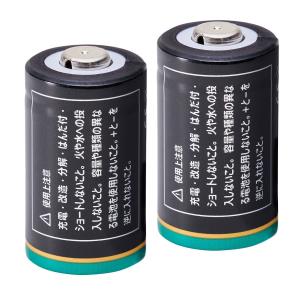 2個セット NinoLite CR2 リチウム...の詳細画像1