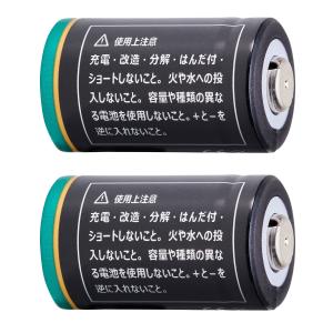2個セット NinoLite CR2 リチウム...の詳細画像3