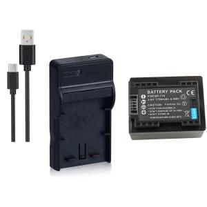 DC136 USB型充電器 LC-E12 と キャノンLP-E12 互換バッテリーのセット