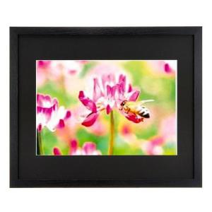 フォトフレーム A300 サイズ ワイド四つ切り 4切ワイド 写真 絵画