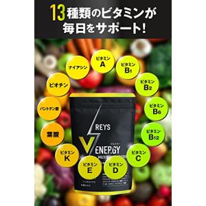 REYS レイズ 【 V ENERGY 】 V...の詳細画像3