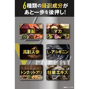 REYS レイズ 【 V ENERGY 】 V...の詳細画像4