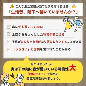 防音マット 防音カーペット 静床ライト 50×...の詳細画像1