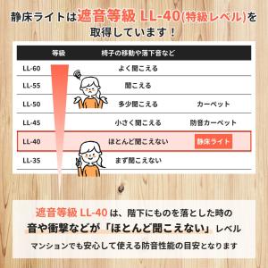 防音マット 防音カーペット 静床ライト 50×...の詳細画像4