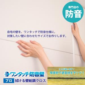 防音専門ピアリビング パネル 防音 簡易防音 吸音材 遮音シート 防音専門ピアリビング パネル 防音 簡易防音 吸音材 遮音シート