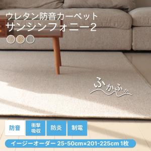 防音専門ピアリビング 静床ライト カットサンプル ポイント消化 防音