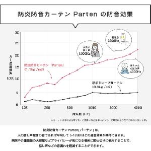 カーテン 遮光カーテン 間仕切りカーテン おし...の詳細画像1