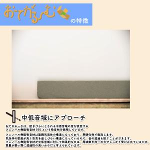 防音室 ダンボール おてがるーむ 遮音材 入り...の詳細画像4