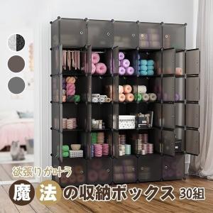 LANGRIA クローゼット 収納ボックス ハンガーラック 30個組 収納ケース DIY収納 衣類 防水 防塵 ボックス 本棚 北欧 インテリア