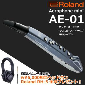 【最短翌日お届け】ローランド Roland デ...の詳細画像3