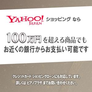【クリスタル グランドピアノ】PIANOLI ...の詳細画像4