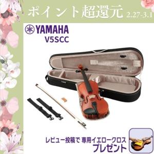 アウトレット40％OFF！] BAM バム バイオリンケース パンサー