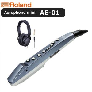 13時までのご注文で即日発送】ローランド Roland デジタル管楽器 AE-01