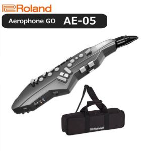 【最短翌日お届け】ローランド Roland デジタル管楽器 専用キャリングバッグ付き Aerophone GO AE-05｜pianoplaza