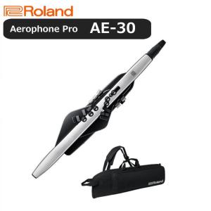 【最短翌日お届け】ローランド Roland デジタル管楽器 専用キャリングバッグ付き Aerophone Pro エアロフォン プロ AE-30