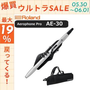 ローランド（Roland） 【最短翌日お届け】ローランド デジタル管楽器