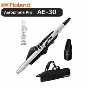 ローランド（Roland） 【最短翌日お届け】ローランド デジタル管楽器