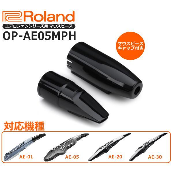 【最短翌日お届け】Roland ローランド エアロフォン 交換用マウスピース OP-AE05MPH【...