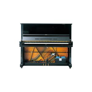 ダンプチェイサー(ピアノ用湿度自動調整器) 標準セット 100V・25W