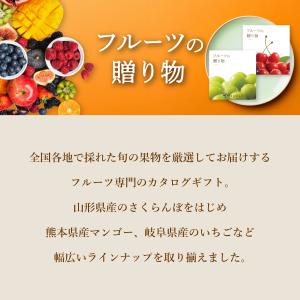 カタログギフト 引き出物 引出物 結婚内祝い ...の詳細画像1