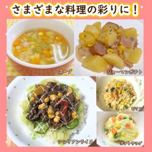 学校給食用食材 冷凍 北海道産もぎたて粒コーン...の詳細画像3