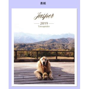 メモリアル ポケットアルバム　ペット　８０枚