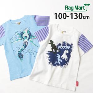 RAG MART ラグマート 半袖Tシャツ 恐竜 袖切替 綿100% 2122606 100cm 110cm 120cm 130cm 子供 男の子
