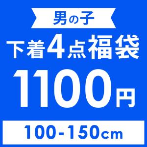 【4枚セット】男の子 下着 ボクサーパンツ 福袋 男児 ボーイズ 子供 キッズ ジュニア 子供用 100 110 120 130 140 150 BREEZE ブリーズ brz-boys4p