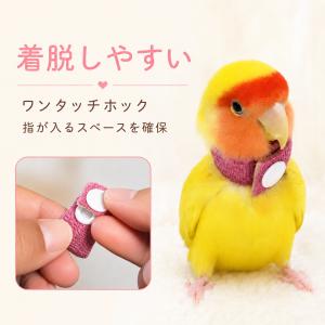 鳥 エリザベスカラー(ネックガード)2個セット...の詳細画像1