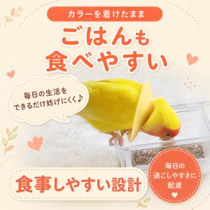 鳥 エリザベスカラー(ポンチョタイプ) 1枚・...の詳細画像1