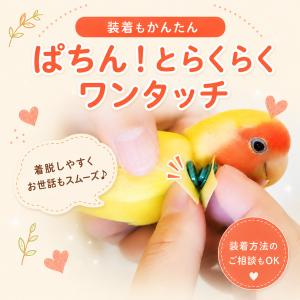 鳥 エリザベスカラー(ポンチョタイプ) 1枚・...の詳細画像2