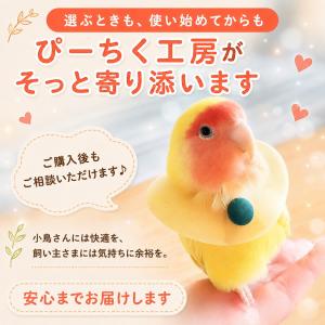 鳥 エリザベスカラー(ポンチョタイプ) 1枚・...の詳細画像5
